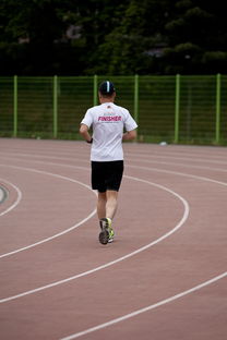 九游体育网站入口-篮球专项技能训练负荷调节与效果评估研究，基础阶段篮球训练负荷安排